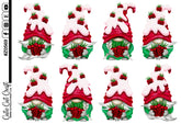 XL Raspberry Gnomes